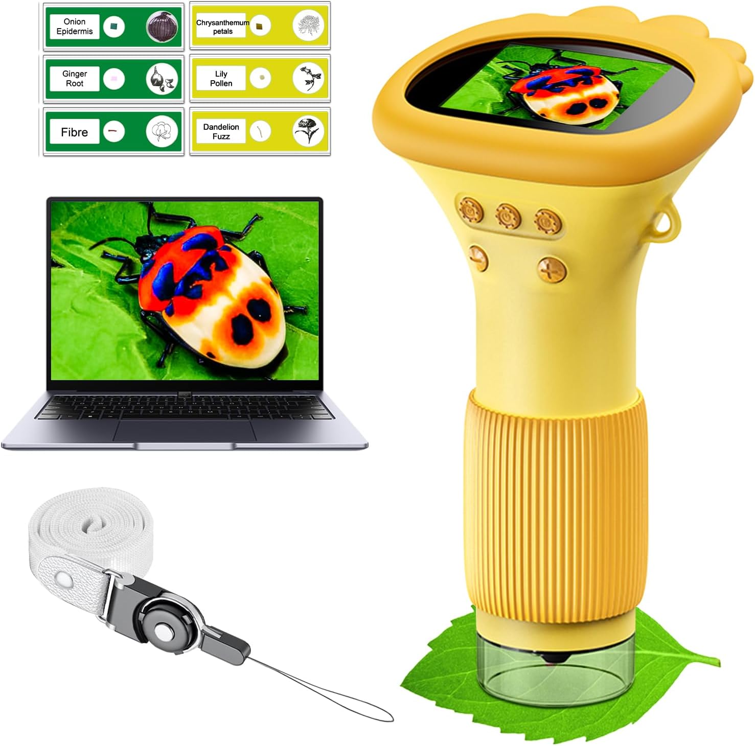 (🎄EARLY CHRISTMAS SALE - 49% OFF) Kid's Digital Microscope🎁Best Stocking Stuffer❤️