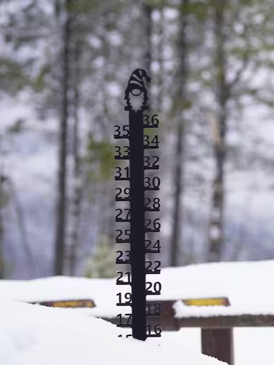 ❄Iron Art Snow Gauge-Great Unique Gift🎁
