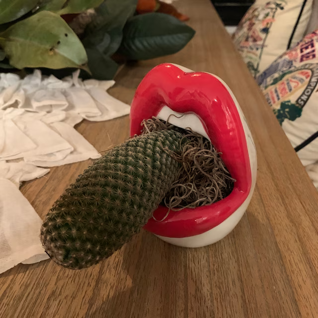 Lips Succulent Planter