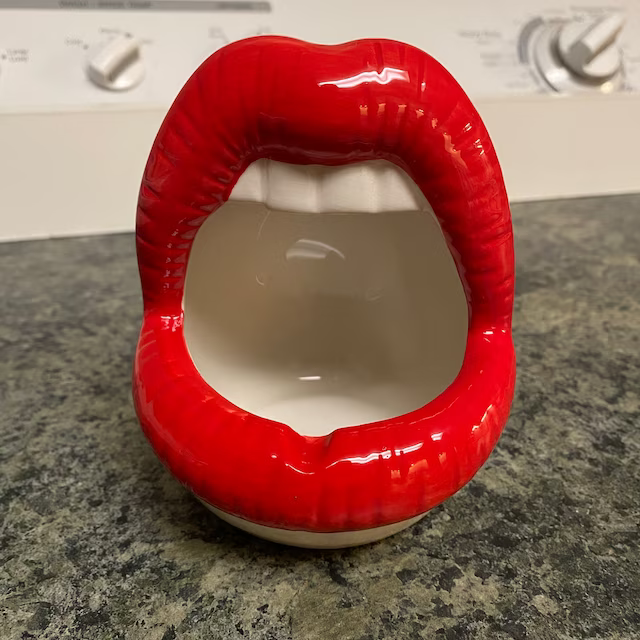 Lips Succulent Planter