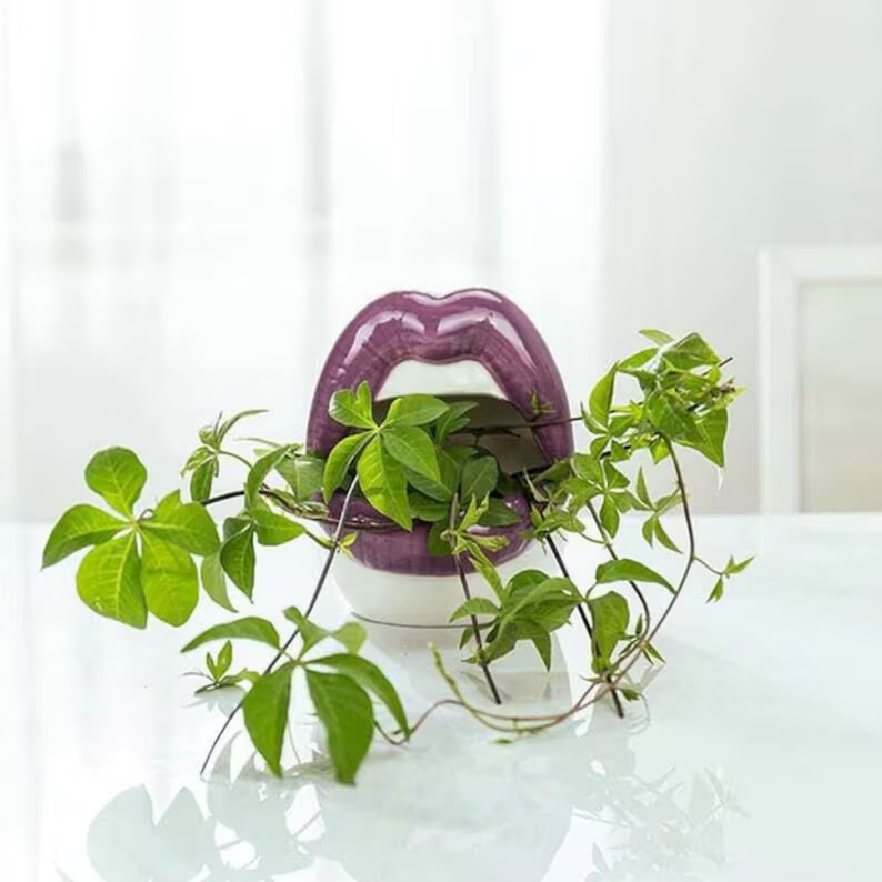 Lips Succulent Planter