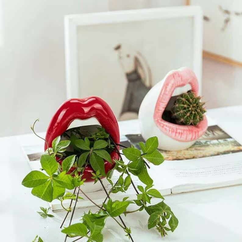 Lips Succulent Planter
