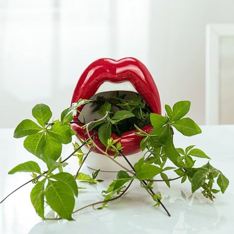 Lips Succulent Planter