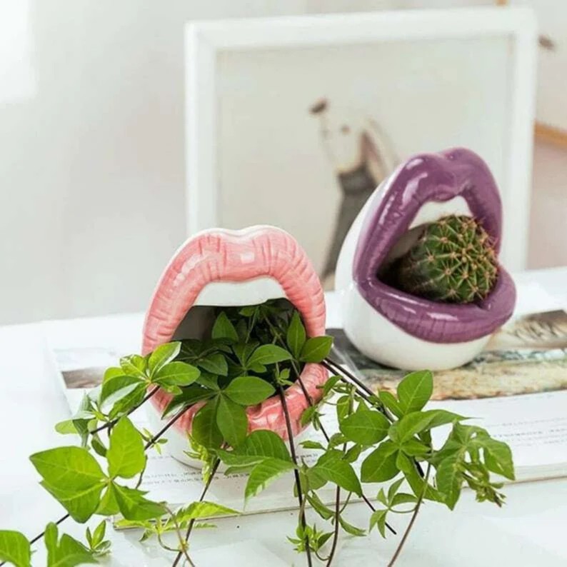 Lips Succulent Planter