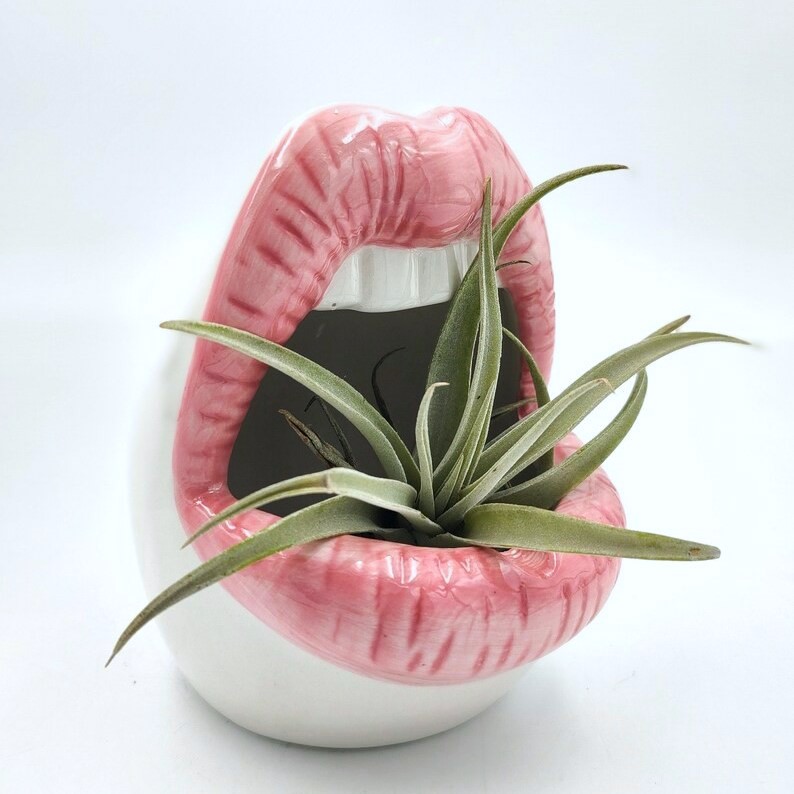 Lips Succulent Planter