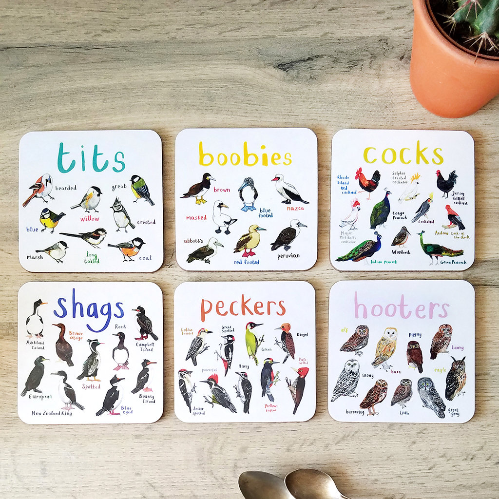 HOT SALE🔥Set of 6 Bird Pun Coasters