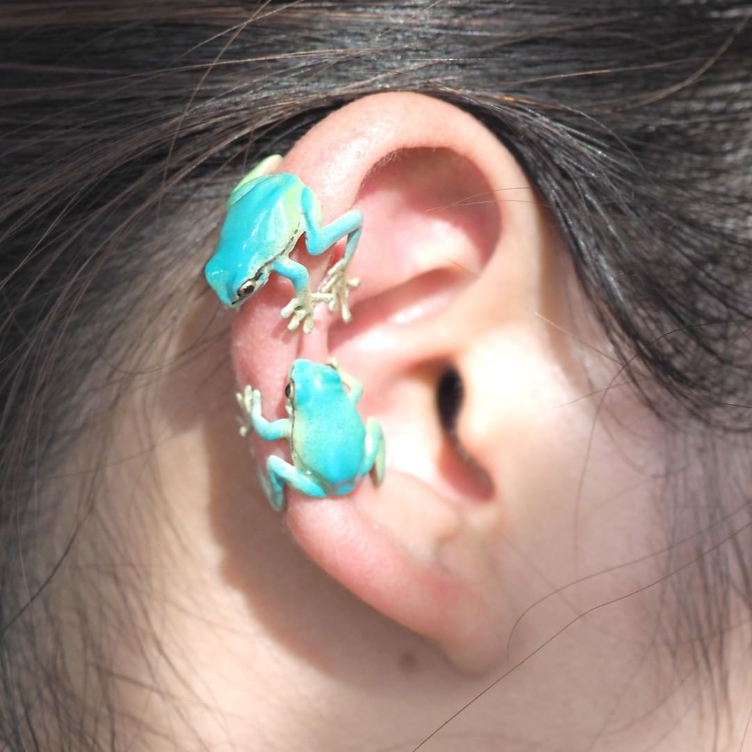 Latest-Tree Frog Ring & Earrings