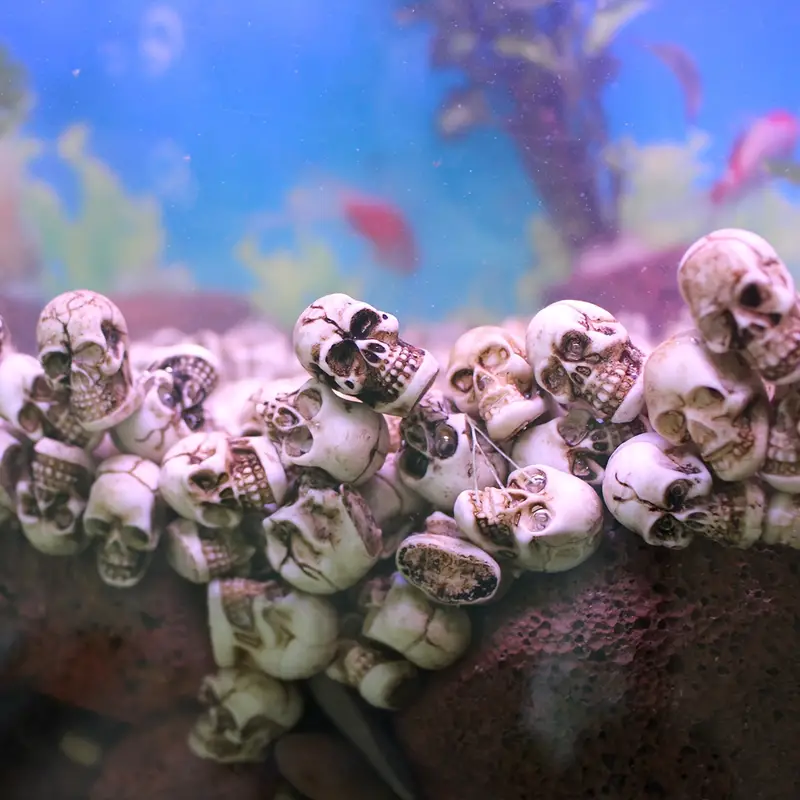 💀 Halloween Sale - 50% OFF 🔥 - Flowerpot Mini Skull Set(20 PCS)