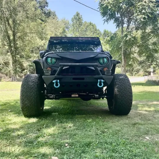 Beast Eyes Headlight Decals (1 Pair)