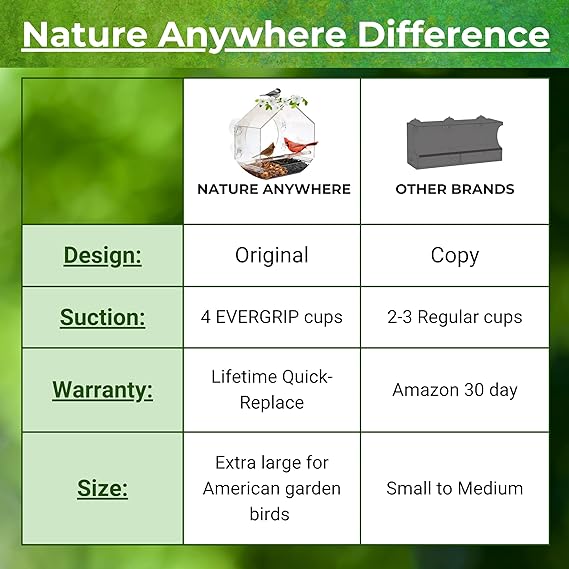 🔥Last Day Promotion 50% OFF🔥 - 🐦 Window Bird Feeders
