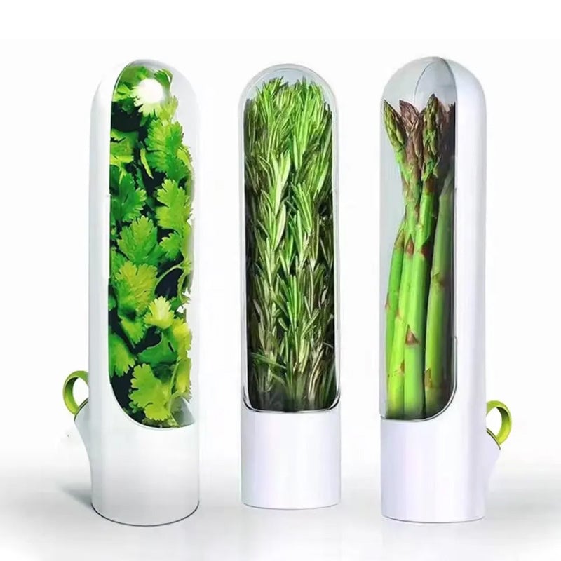 🔥Last Day Promotion 50% OFF🔥 - Fresh vegetable storage box
