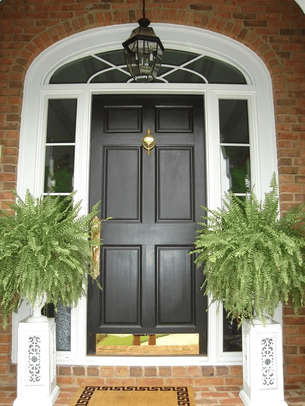 ✨This Week's Special Price $9.98💥Boston Fern