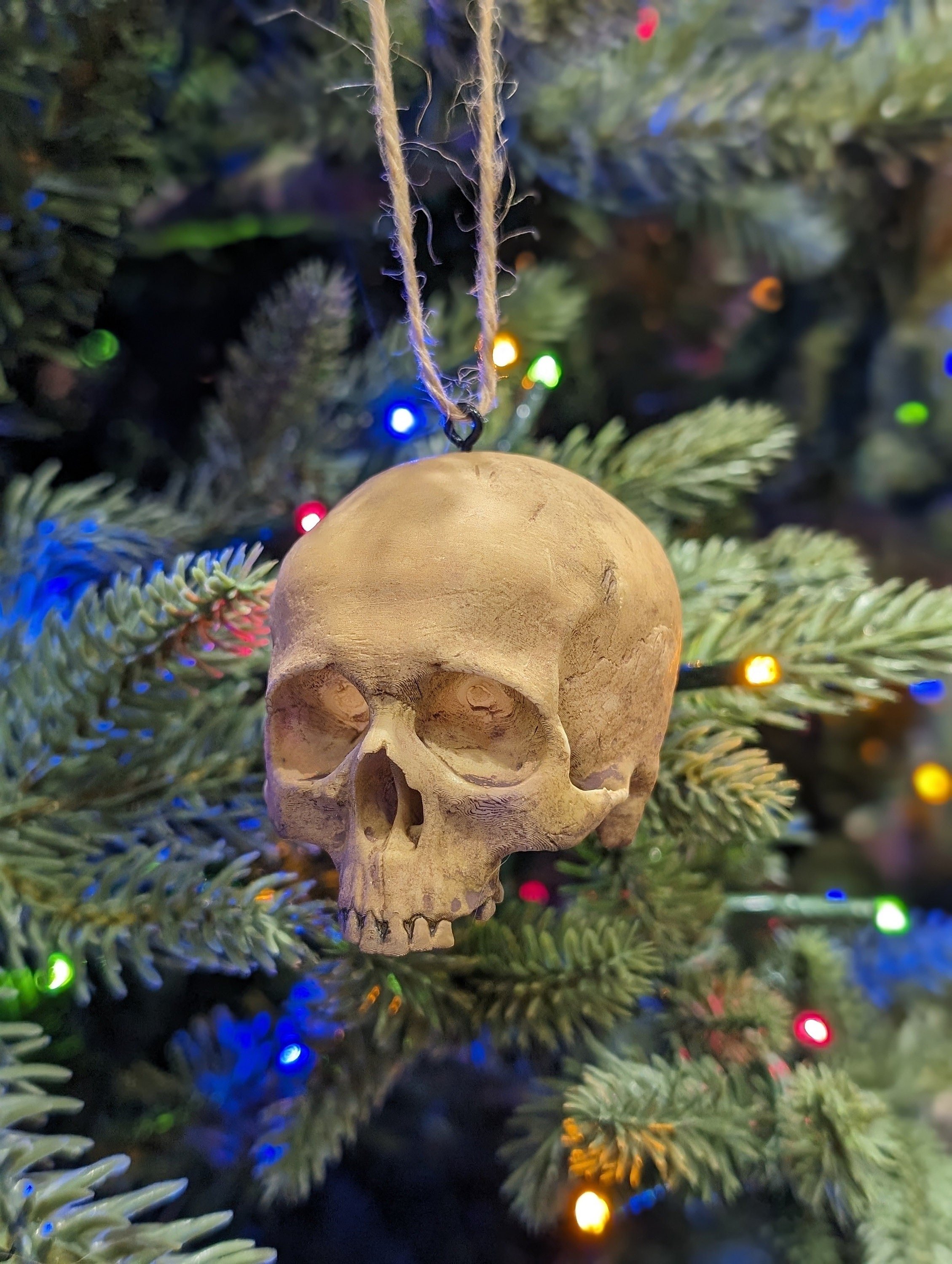 Human Skull  Tree Ornament