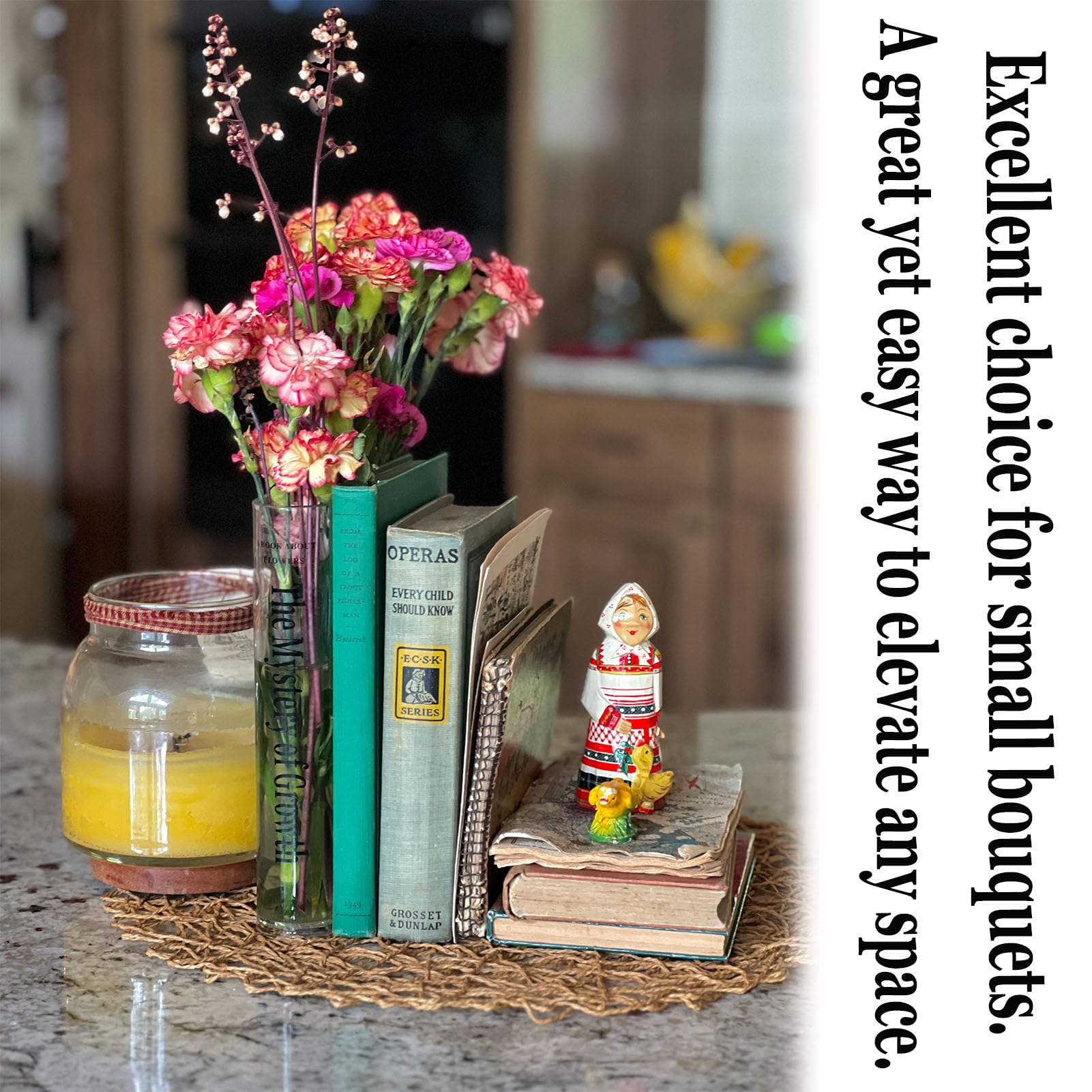 Modern Aesthetic Vase for Bookshelf&Home Decor (Clear)