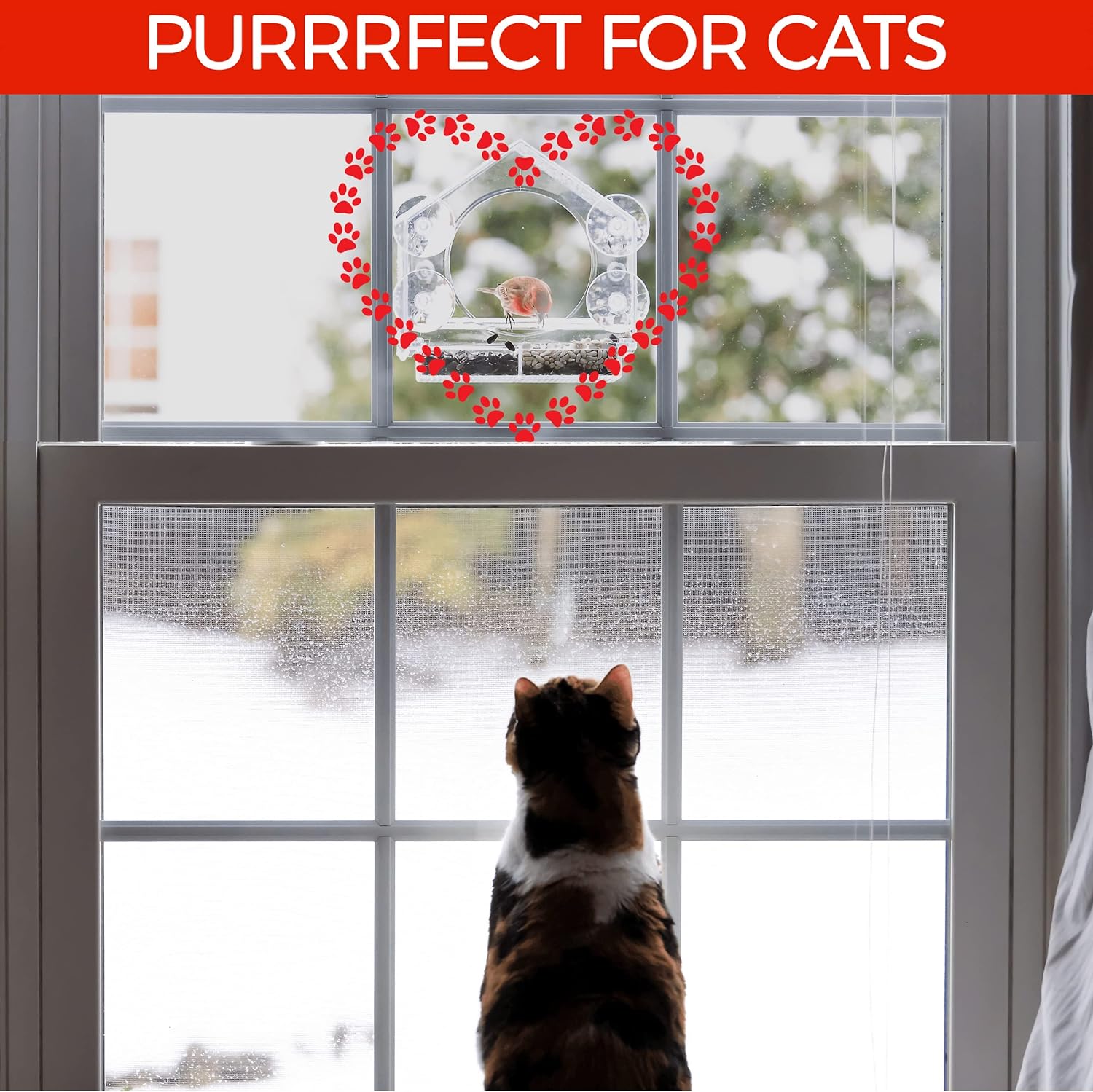 🔥Last Day Promotion 50% OFF🔥 - 🐦 Window Bird Feeders