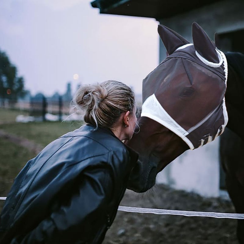 🔥Last Day 50% OFF - 🐎🛡️Mosquito Mesh Sun Visor Fly Masks