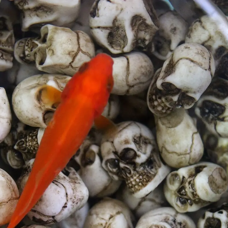 💀 Halloween Sale - 50% OFF 🔥 - Flowerpot Mini Skull Set(20 PCS)