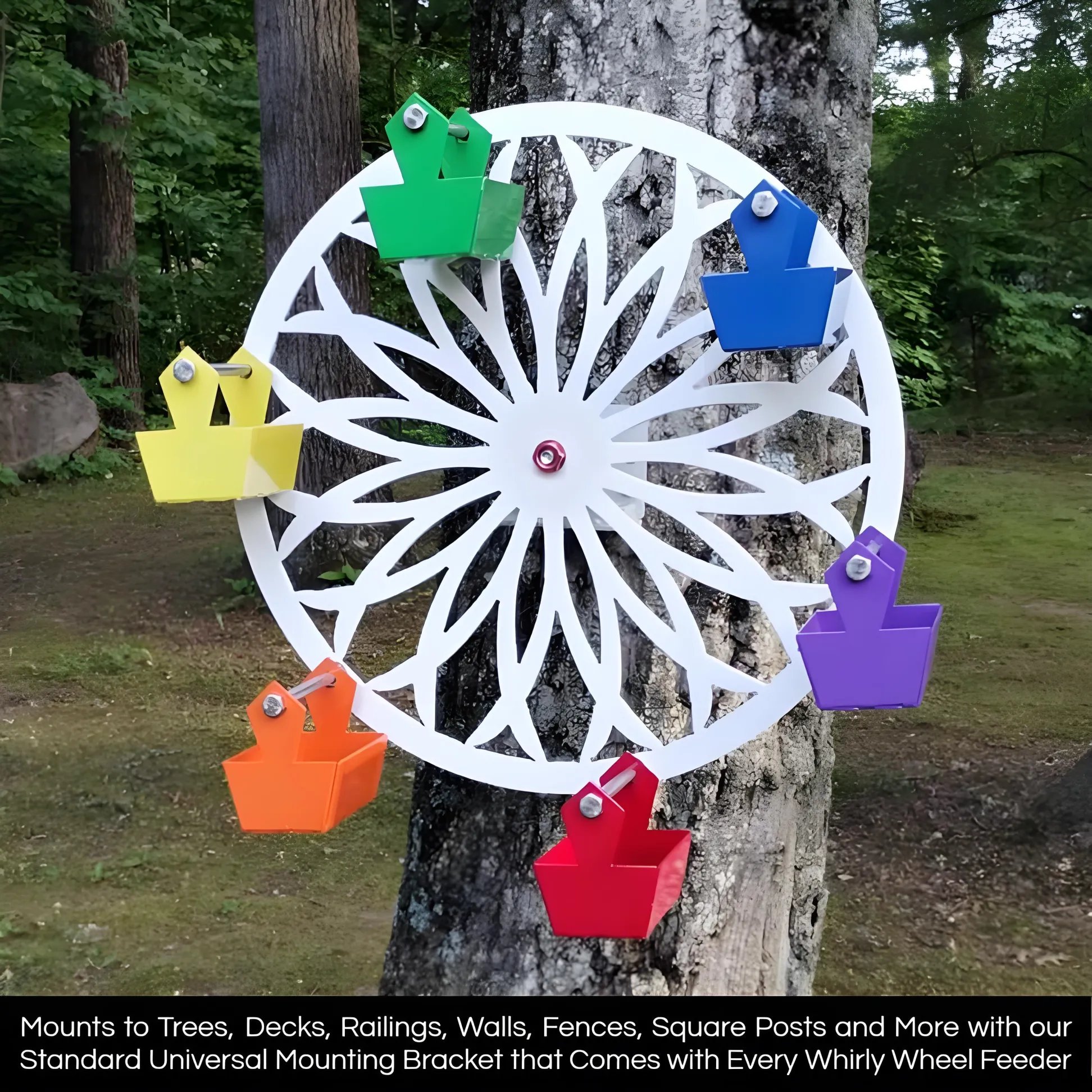 LAST DAY 49% OFF🎡The Ferris Wheel of Fun for Your Feathered Friends