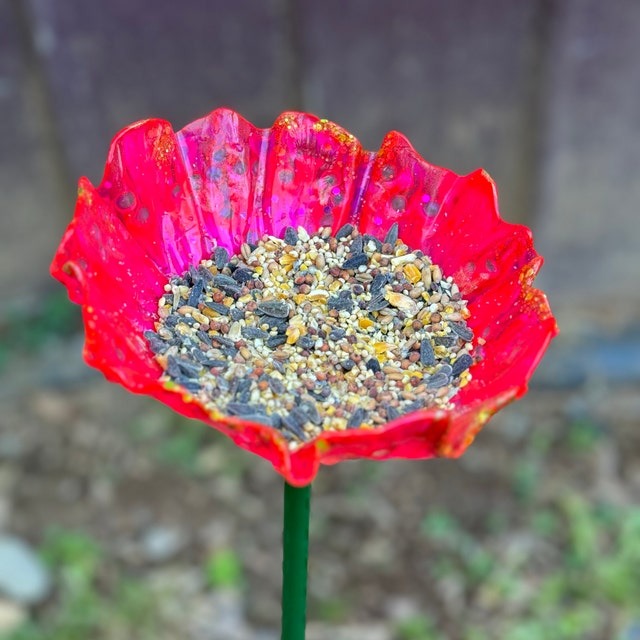 Bird feeder organic flower seed container