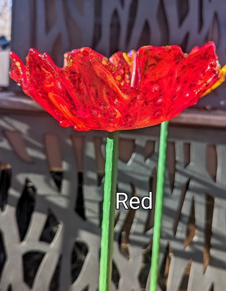 🌟 Bird Feeder Organic Flower Seed Container