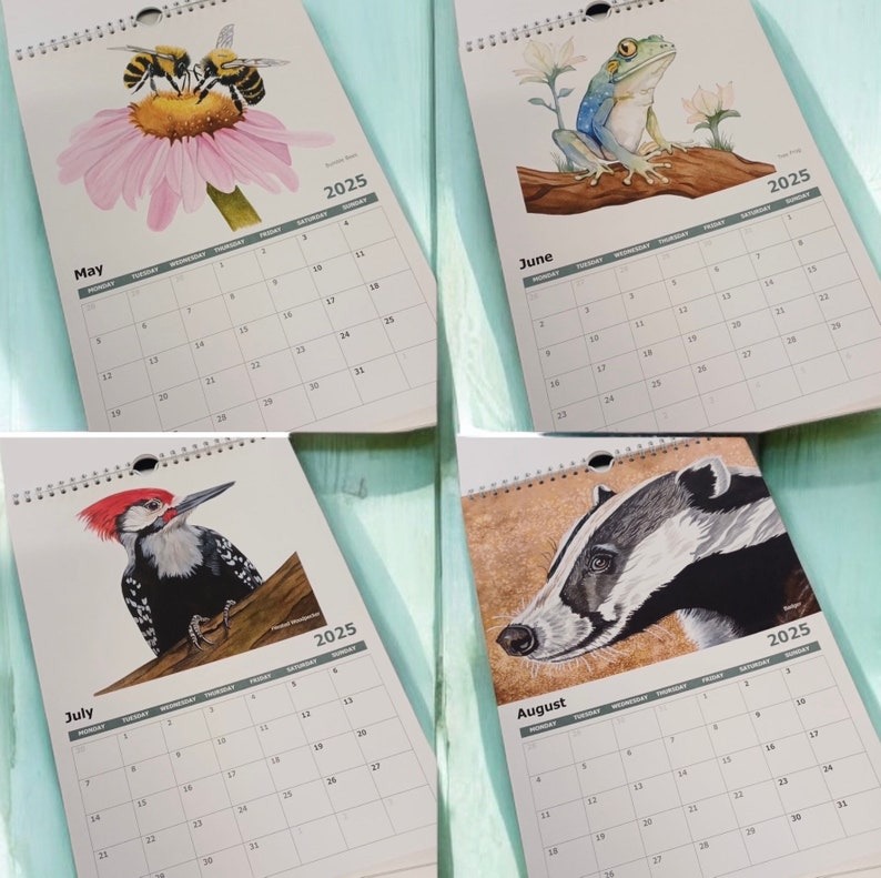 🌈2025 Watercolor Animal Calendars
