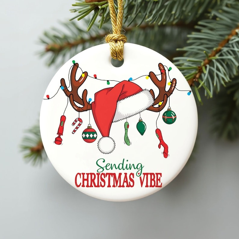 🔥Christmas pre-sale 50% OFF🎁Sending Christmas Vibes Funny Christmas Ornament