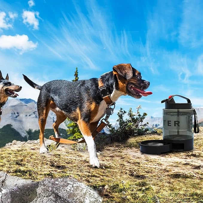 77oz Dog Travel Water Bottle