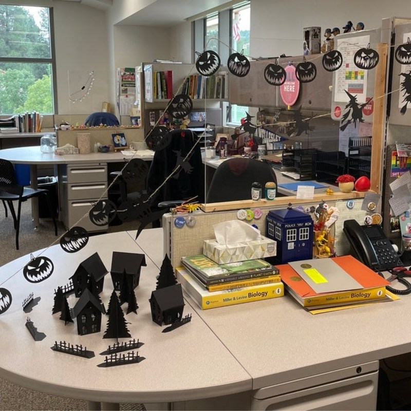 🎃Horror Pumpkin Ornaments