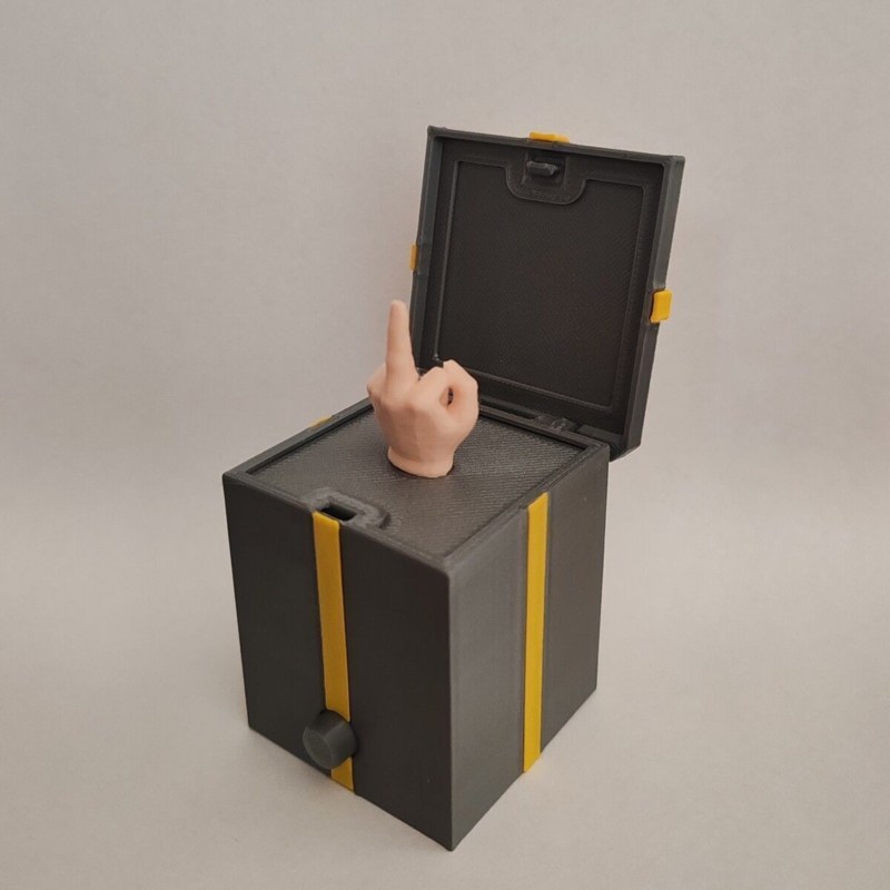 🎁Surprise Middle Finger Gift Box