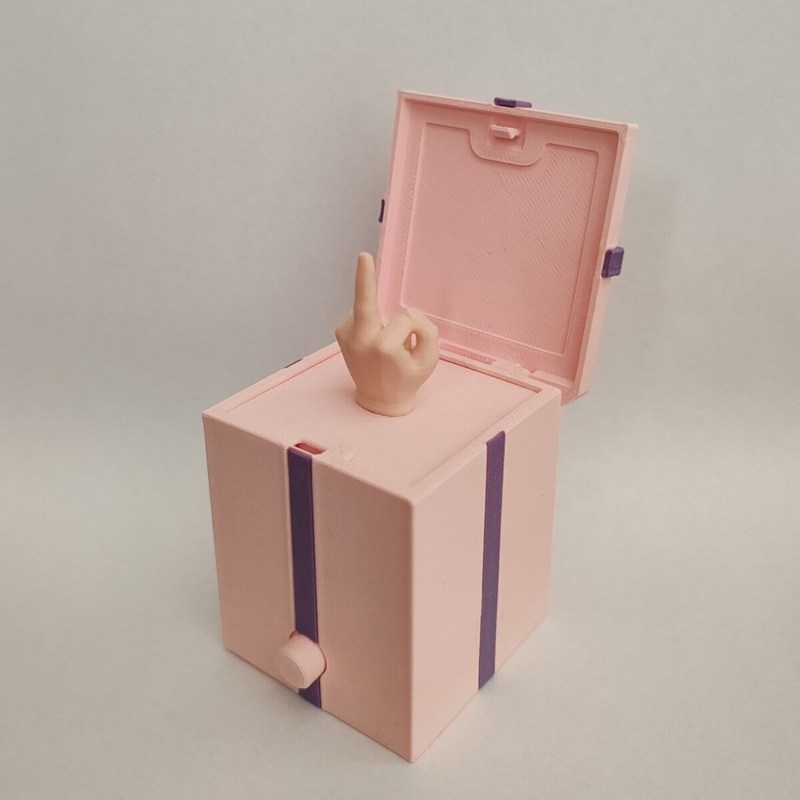 🎁Surprise Middle Finger Gift Box