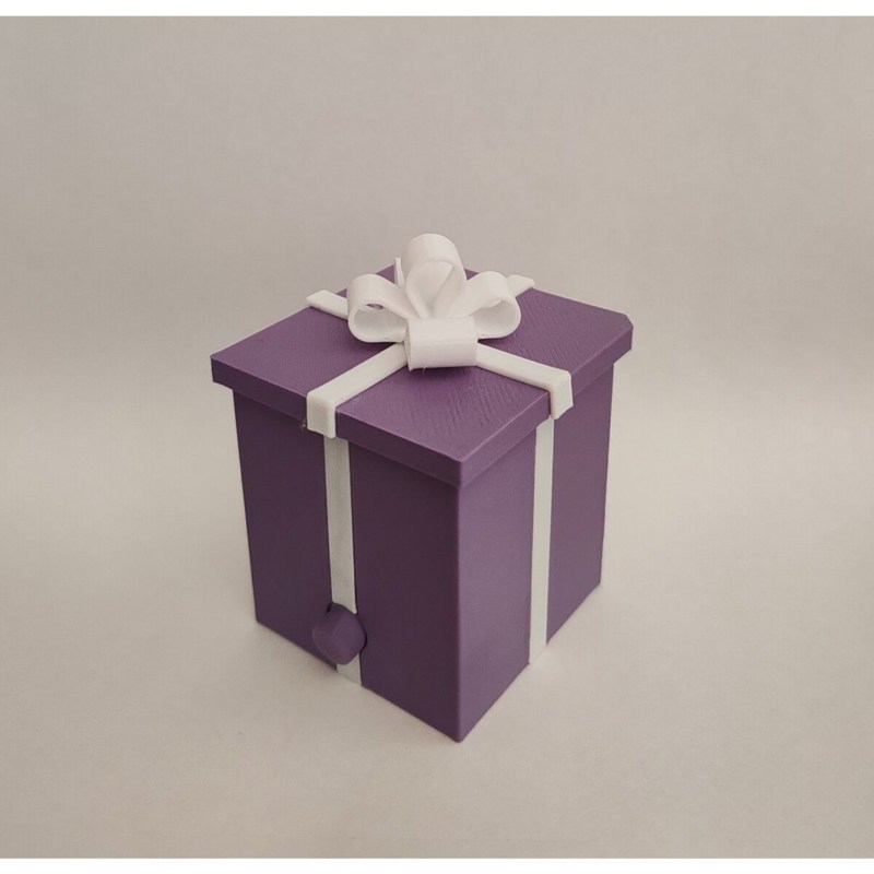 🎁Surprise Middle Finger Gift Box