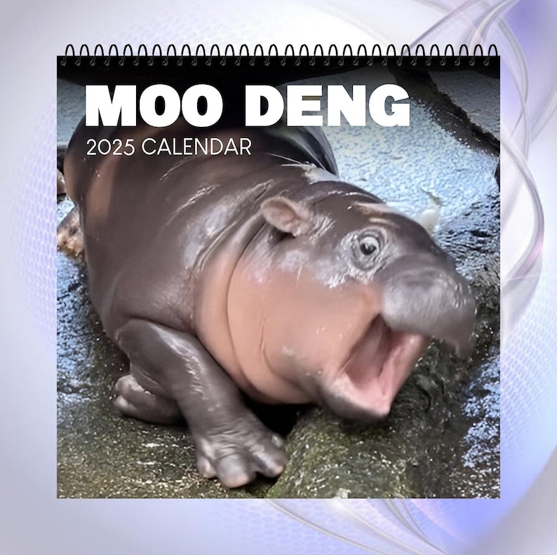 🔥Moo Deng Calendar  | Trendy Viral Christmas Gift