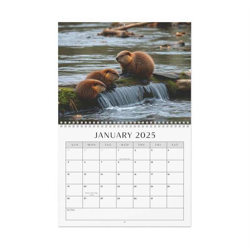 2025 Beautiful Beavers Wall Calendar