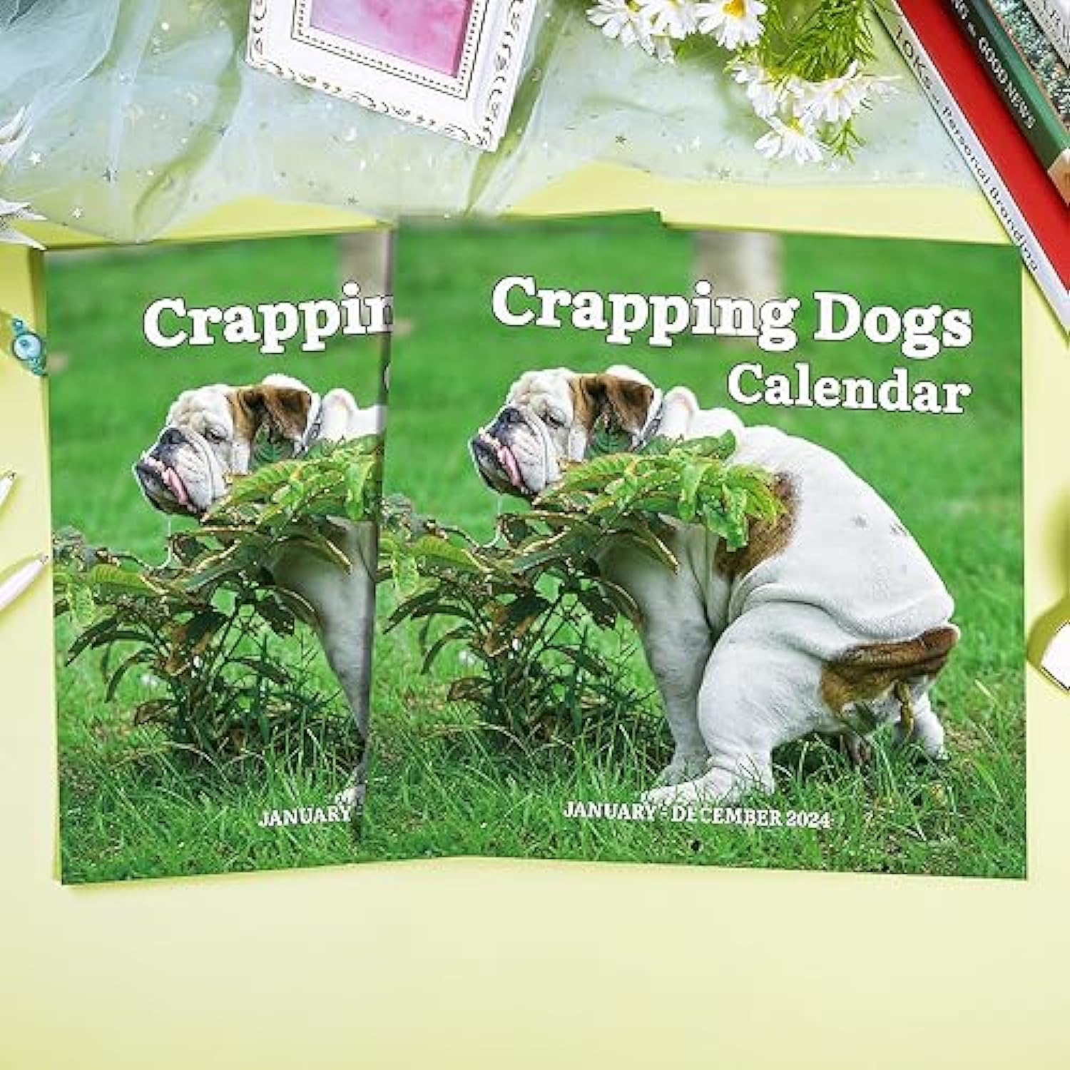 2024-pooping-dogs-calendar