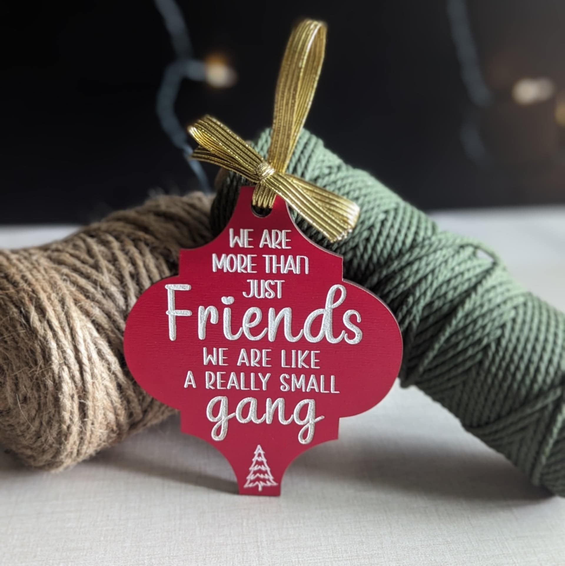 Funny Christmas Ornament Gift