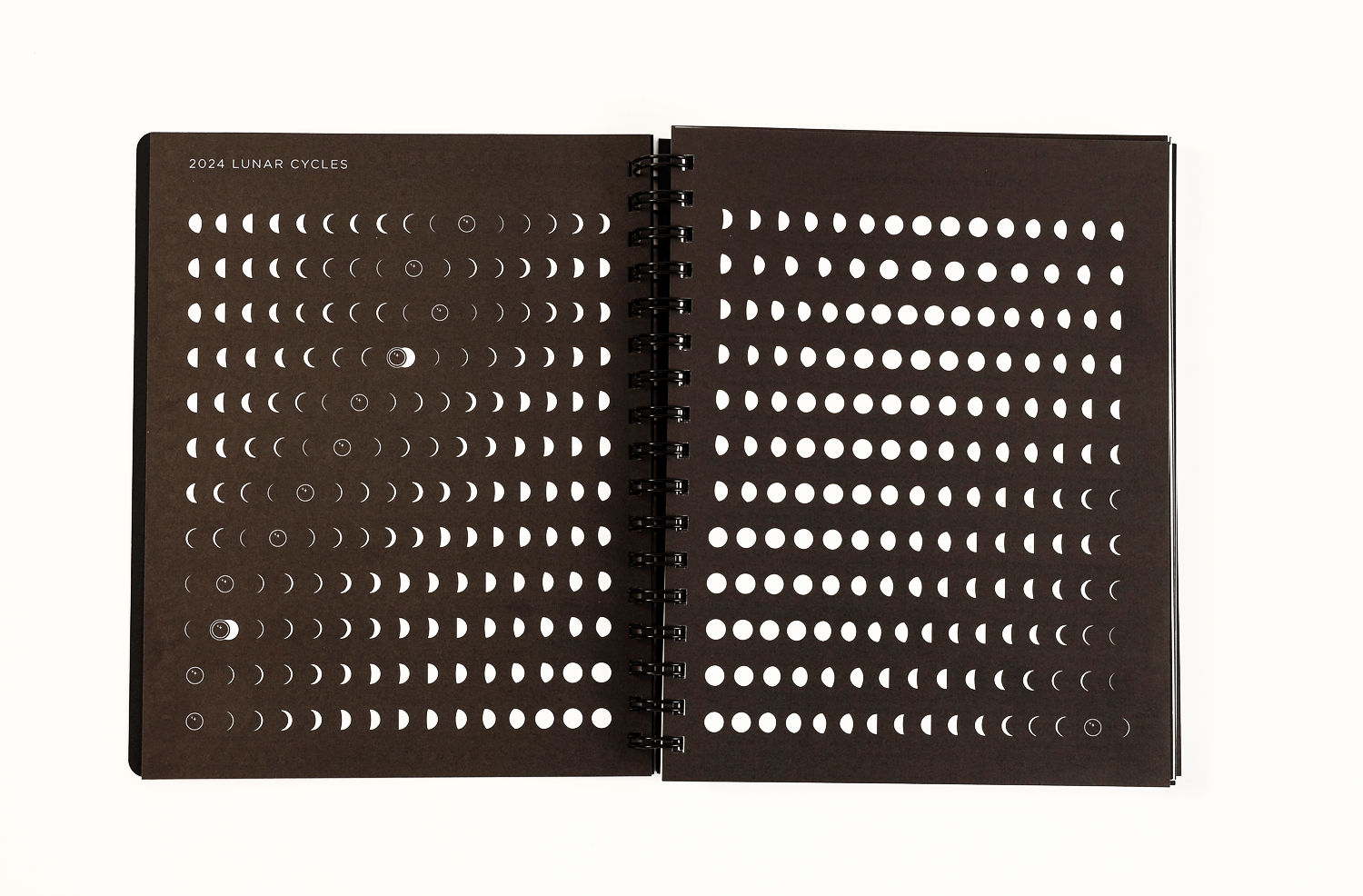 📚2025 Many Moons Lunar Planner