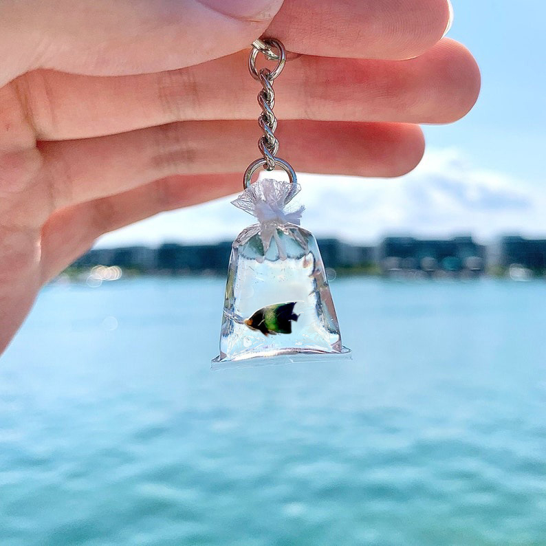 🐠Pocket Fish Keychain