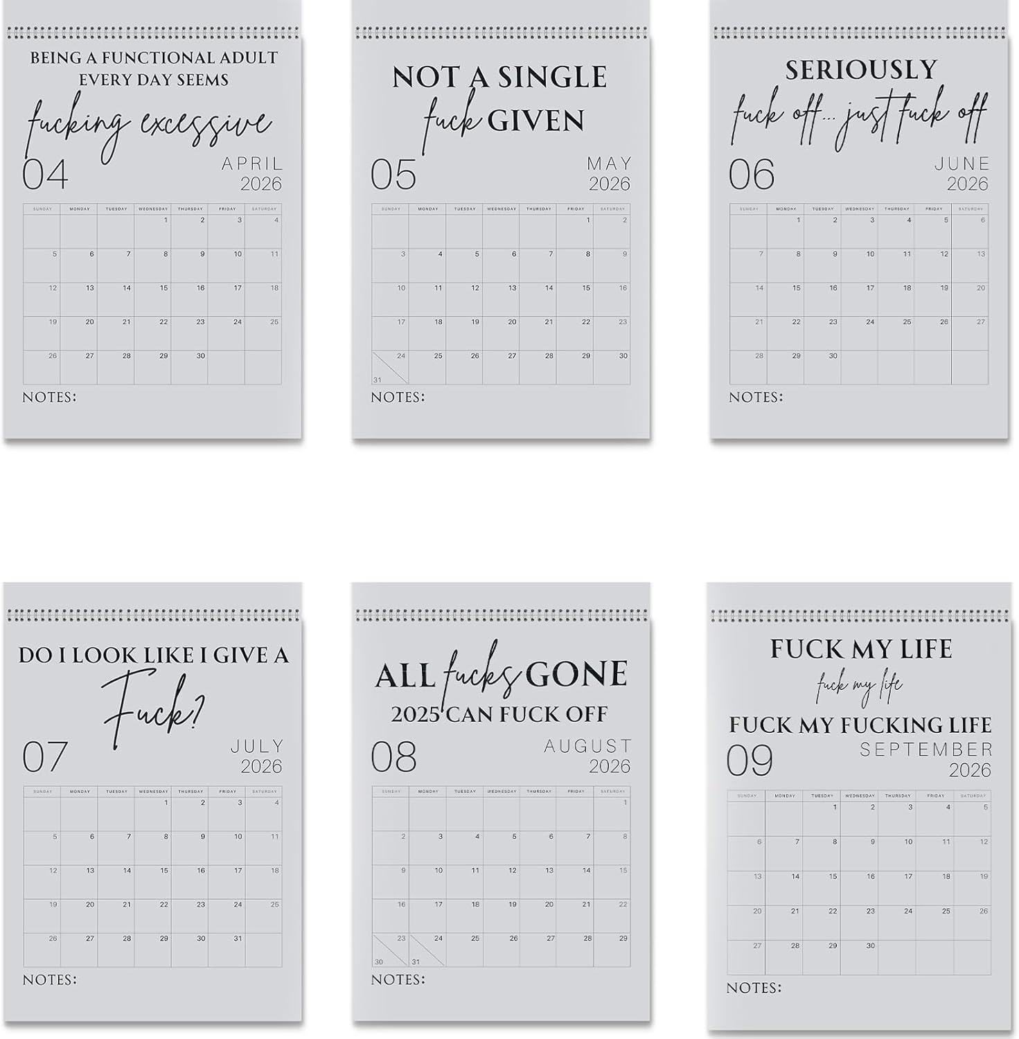 😂Fuck It 2026 Spiral Bound Wall Calender📆