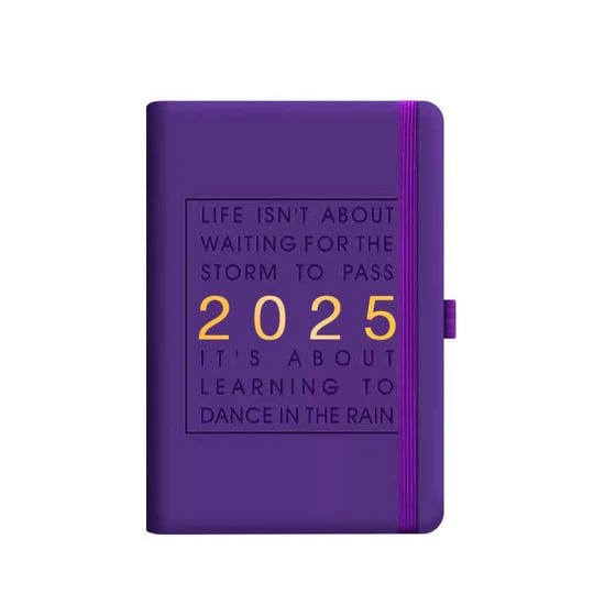 🔥2025 One Day One Page Daily Planner – Your Ultimate Gift Calendar🔥