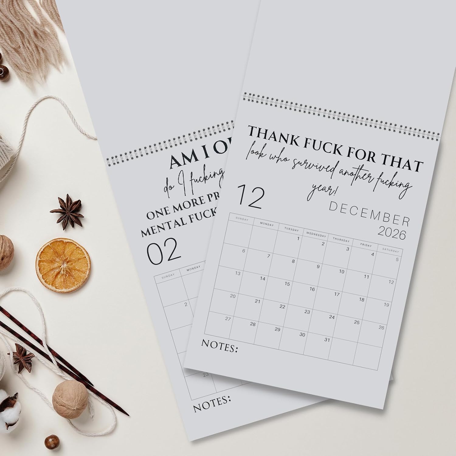 😂Fuck It 2026 Spiral Bound Wall Calender📆