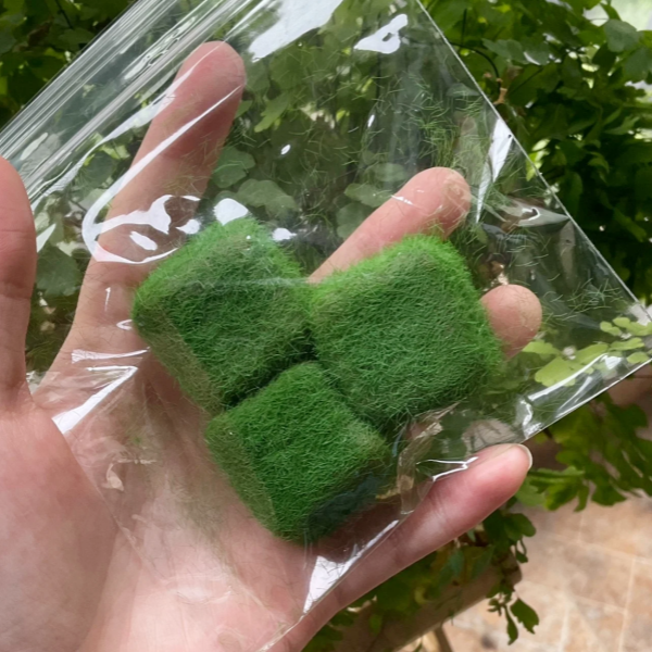 Three Little Grasses-Physical Squishy