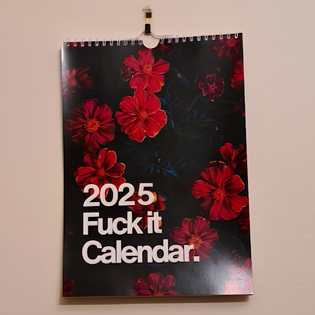 Funny Calendar 2025 For Women