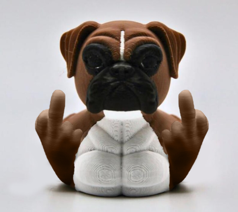 🤣Middle Finger Boxer Duck