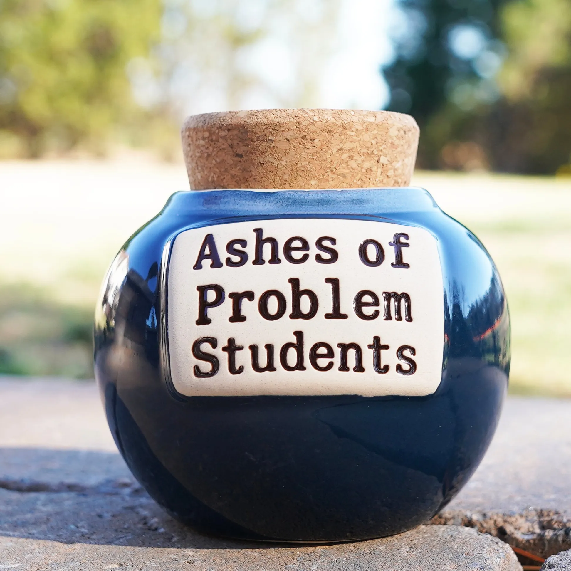 🤣Ashes of Problem Clients Piggy Bank🎁
