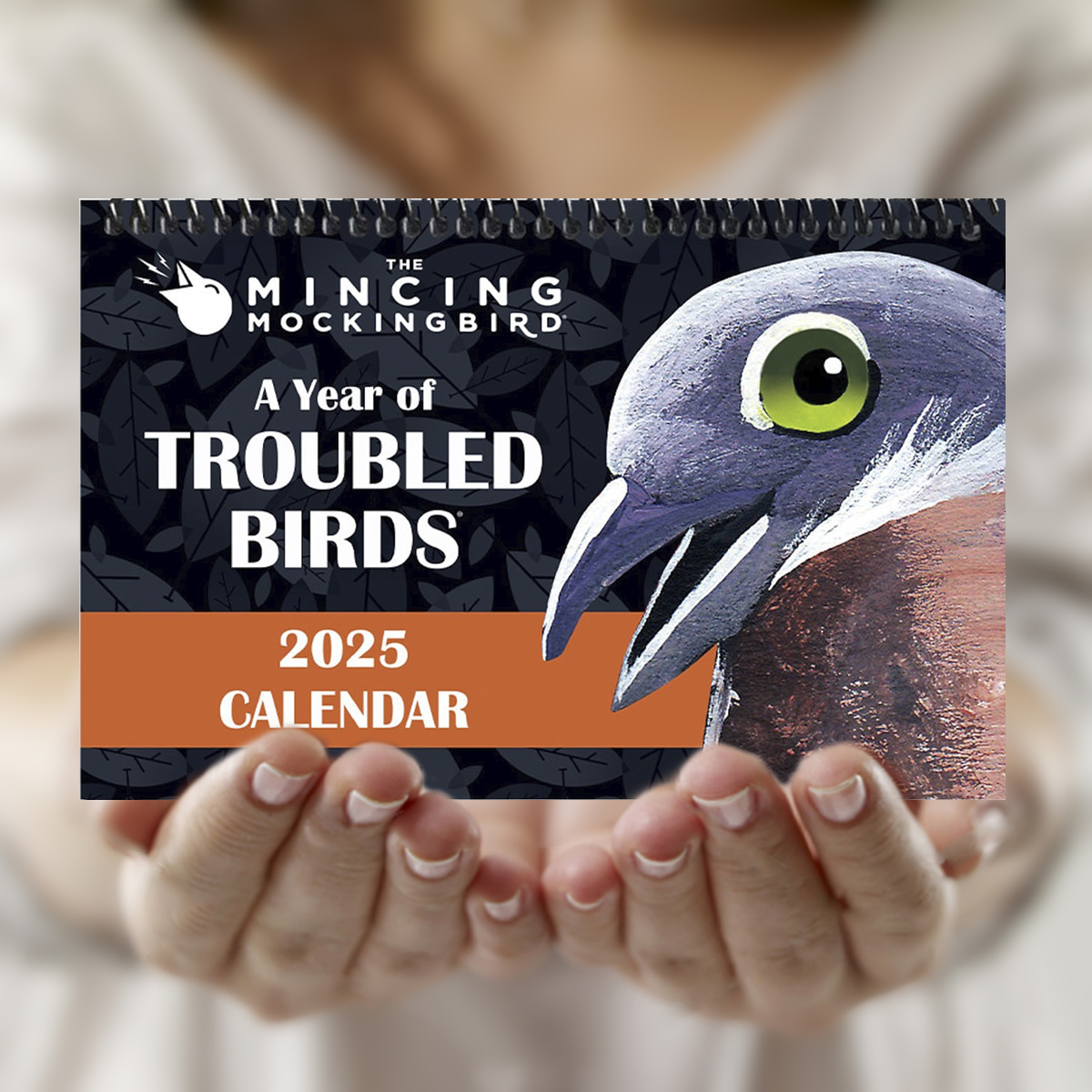 Troubled Birds 2025 Wall Calendar