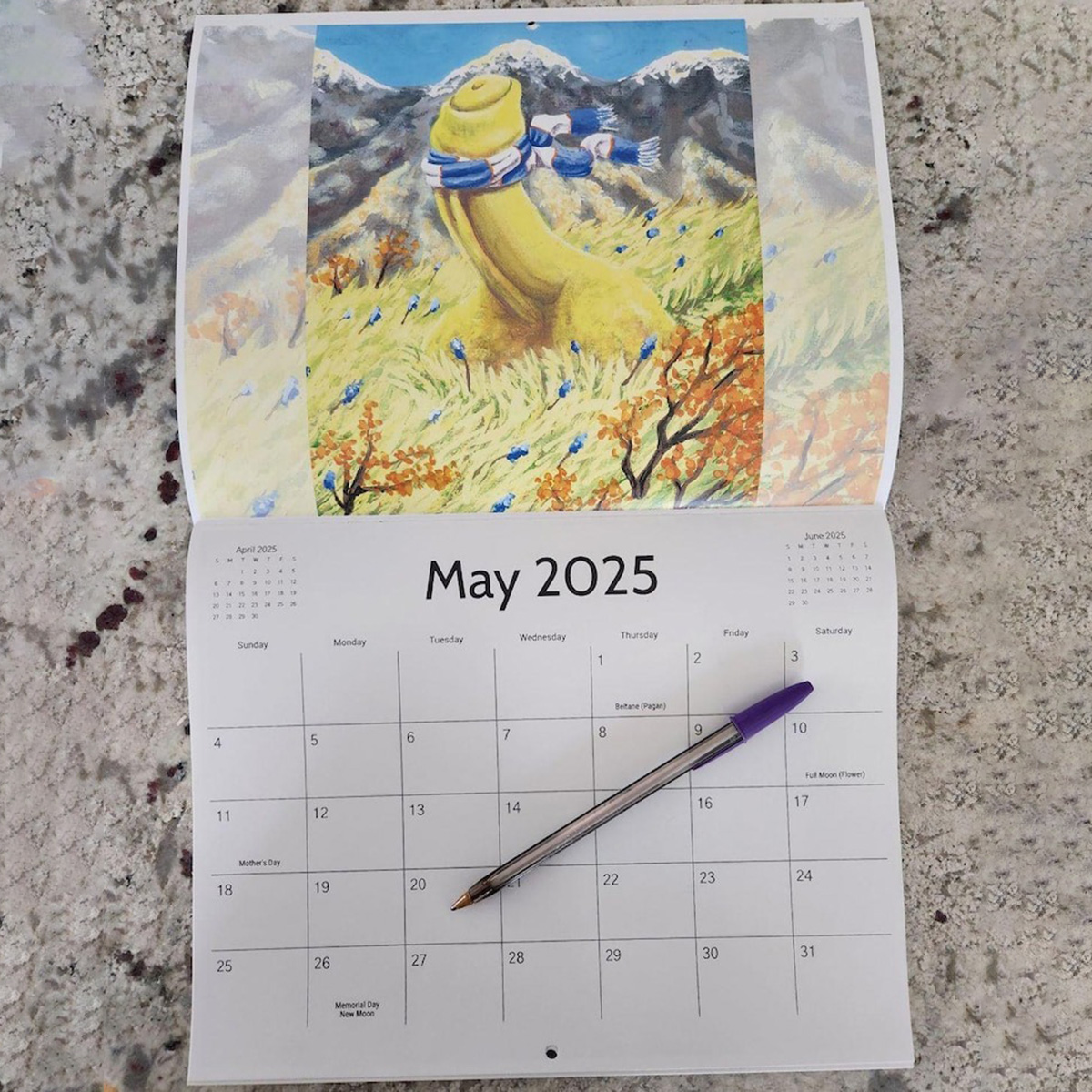 2025 Funny Calendar