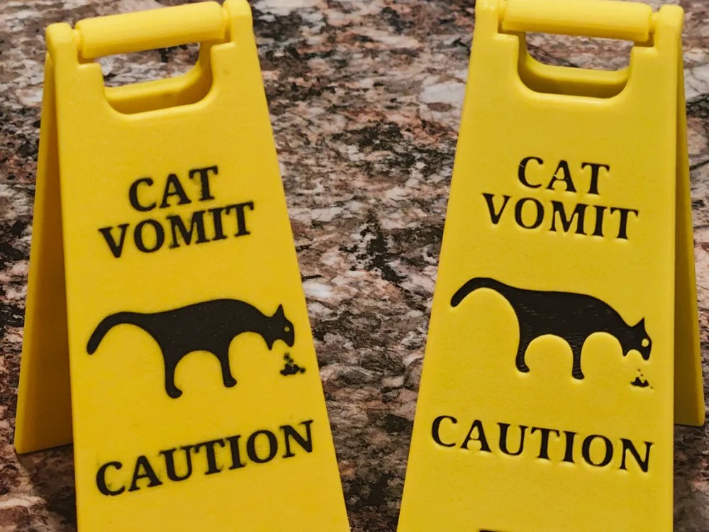 Funny Cat Signs Decor