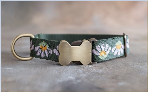 🐕Personalized Puppy Collar