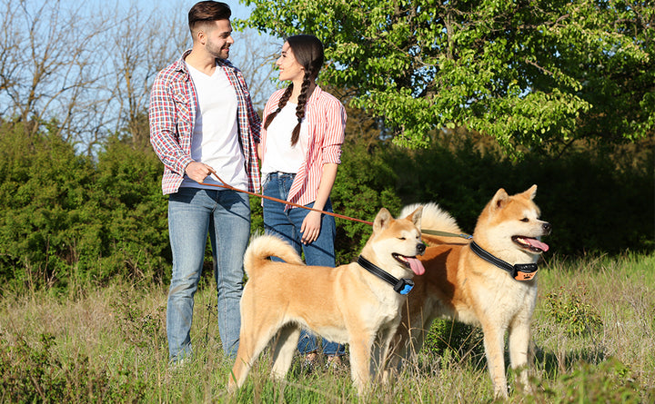 Silent Guard Anti-Bark Dog Collar™
