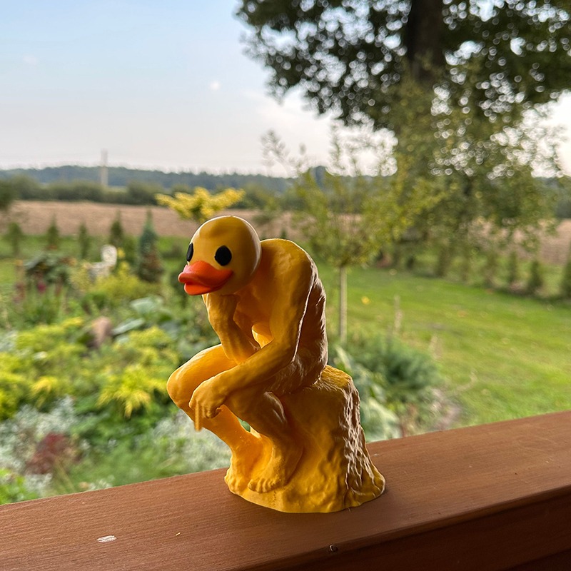 New Funny Thinker Middle Finger Duck